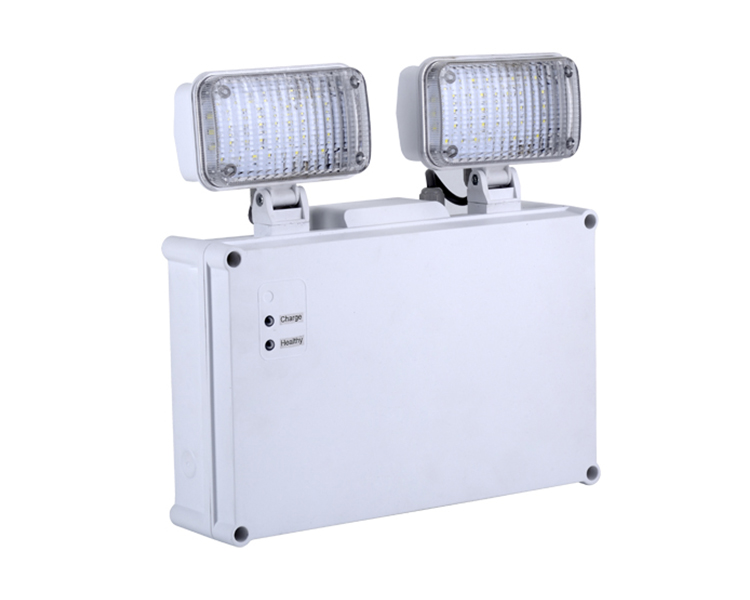 2921 Luz de emergência com ponto duplo IP65