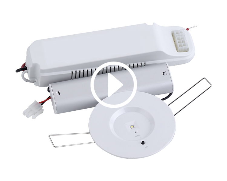 D40-R-1 LED de emergência downlight