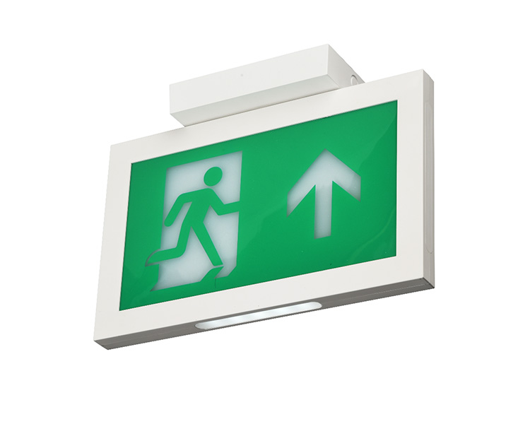 LE2915-A TETO MONTAGEL DUPLE FACE SIGNS SINAIS