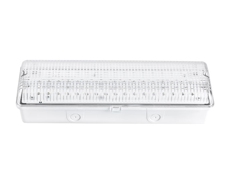 Le502L IP65 50 Luz de emergência à prova d'água