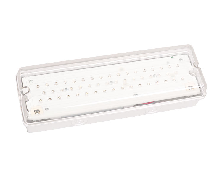 Le502L IP65 50 Luz de emergência à prova d'água