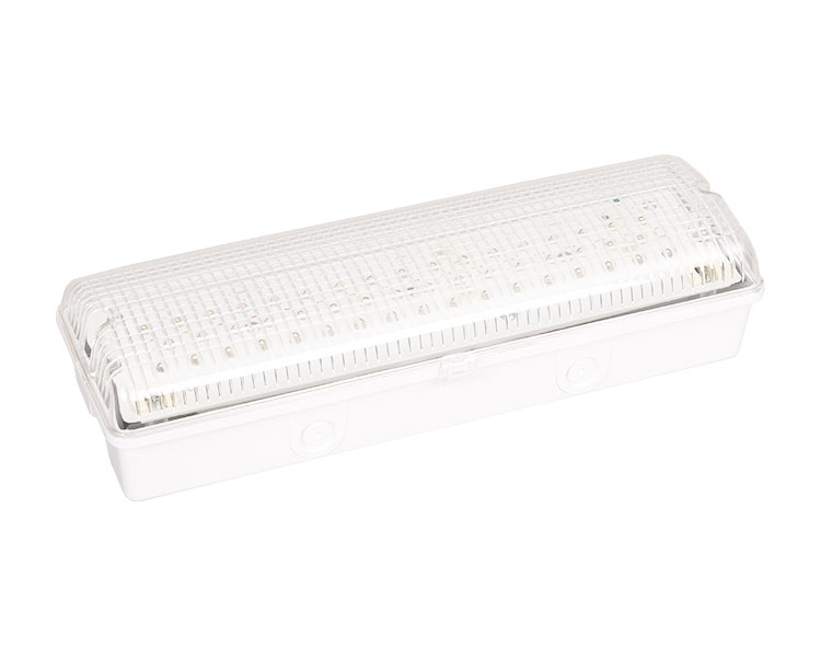 Le502L IP65 50 Luz de emergência à prova d'água